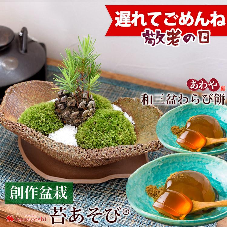 アウトレット 敬老の日 プレゼント 21 早割 創作盆栽 苔あそび 長寿梅 か 睡蓮木 から選べる盆栽と金長まんじゅう2種類のセット ギフト おじいちゃん おばあちゃん 全国どこでも送料無料