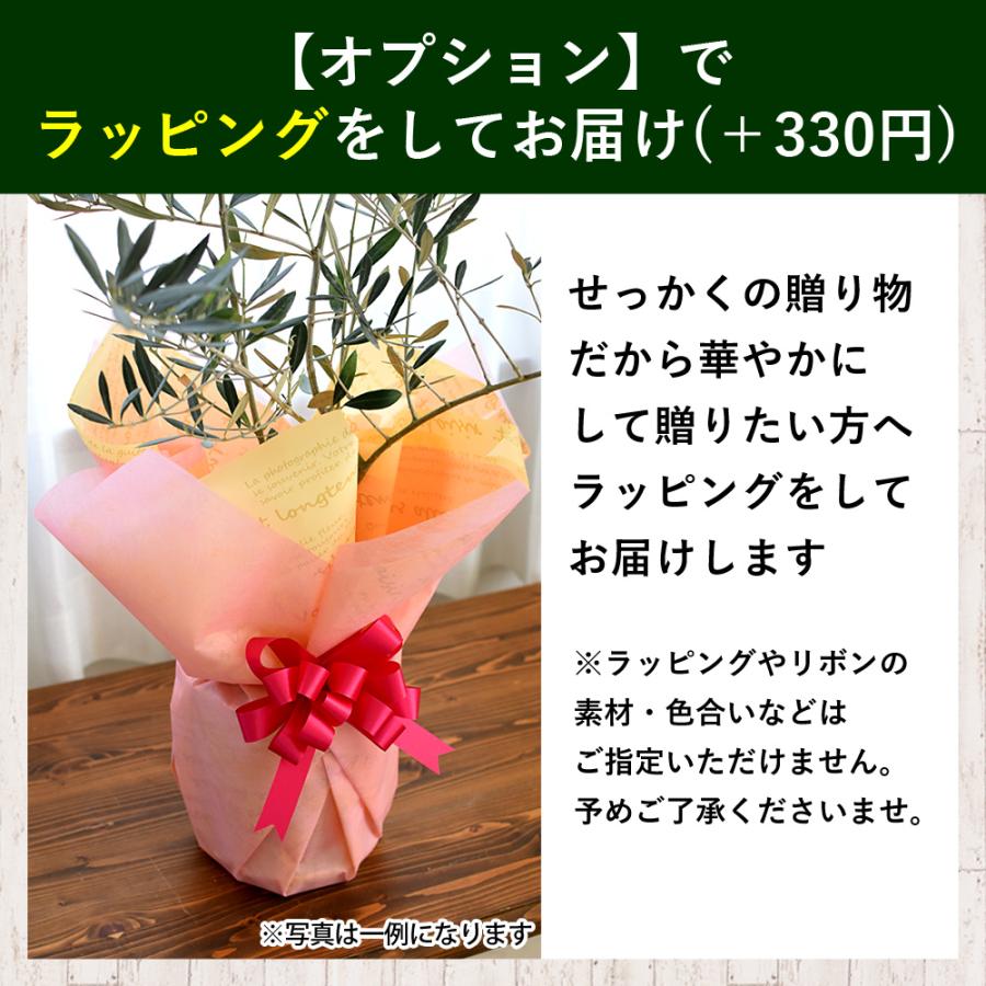 フラワーマーケット花由 鉢植え 花由がお届けする 鶴亀園の香川