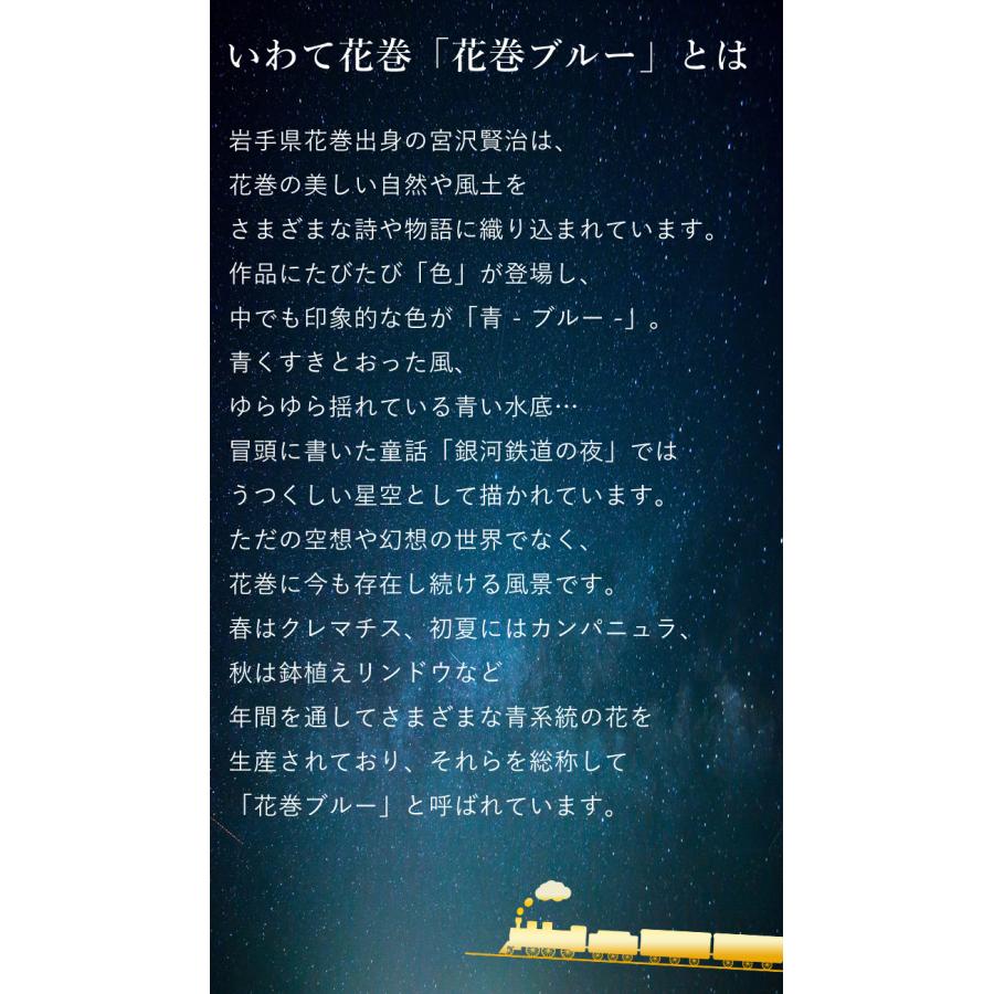 リンドウ 花巻銀河ブルー 5号鉢 鉢植え バスケット付 りんどう 花巻ブルー 9月30日〜11月6日の間でお届け 鉢植え ギフト 花 誕生日 プレゼント :hof1801:フラワーマーケット花由 - 通販 - Yahoo!ショッピング リンドウ 花巻銀河ブルー 5号鉢 鉢植え バスケット付 りんどう 花巻ブルー 9月30日〜11月6日の間でお届け 鉢植え ギフト 花 誕生日 プレゼント :hof1801:フラワーマーケット花由 - 通販 - Yahoo!ショッピング