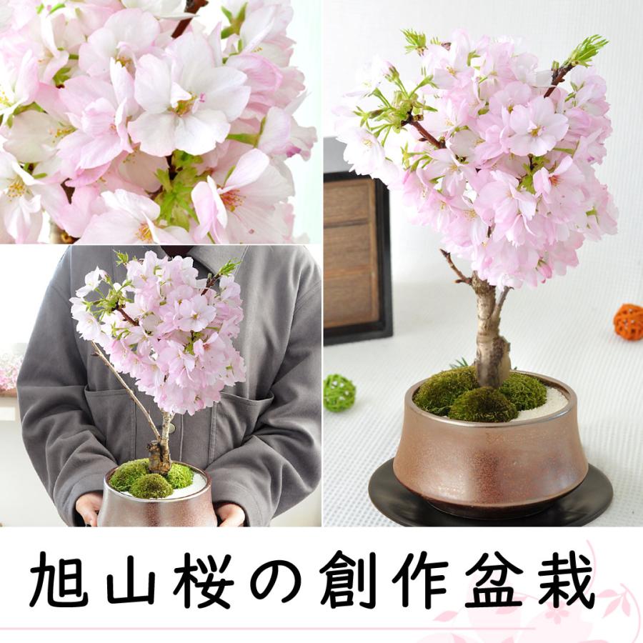 桜 盆栽風 アートフラワー 鳥付き オブジェ インテリア 和風 春 飾り 縁起物 sakura450-5.gif