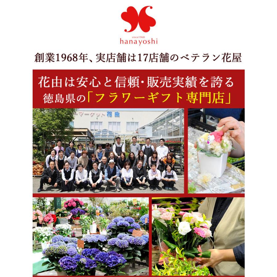 シンボルツリーの寄せ植え ＜アートストーン鉢でお届け＞ 鶴亀園オリーブ 寄せ植え 鉢植え オリーブ 観葉植物 インテリア ギフト｜hanayoshi-y｜14