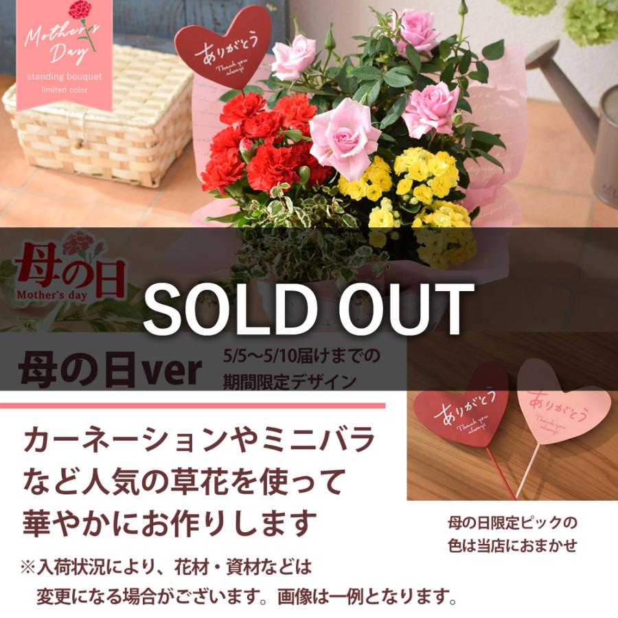 季節のおまかせ 花鉢 と グリーン の 寄せ入れ Sサイズ フラワーバスケット 鉢花 鉢植え ギフト 花 誕生日 プレゼント 女性 母 祖母 退職祝い | フラワーマーケット花由 | 11
