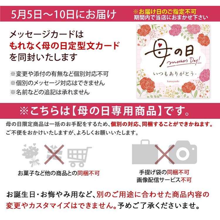 季節のおまかせ 花鉢 と グリーン の 寄せ入れ Sサイズ フラワーバスケット 鉢花 鉢植え ギフト 花 誕生日 プレゼント 女性 母 祖母 退職祝い | フラワーマーケット花由 | 12