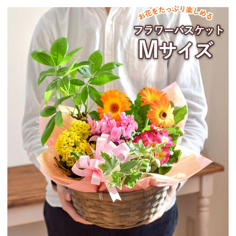 フラワーマーケット花由 季節のおまかせ 花鉢 とグリーンの寄せ フラワーマーケット花由 季節のおまかせ 花鉢 とグリーンの寄せ