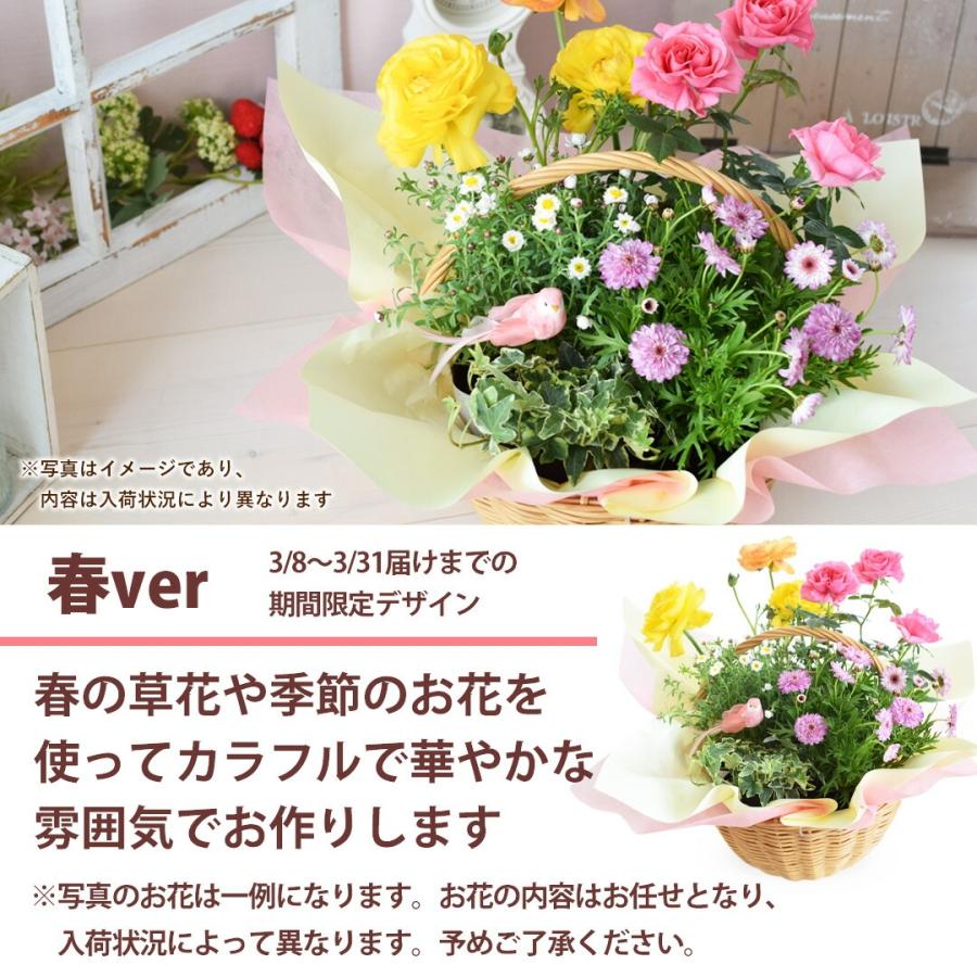 フラワーマーケット花由 季節のおまかせ 花鉢 とグリーンの寄せ入れ M
