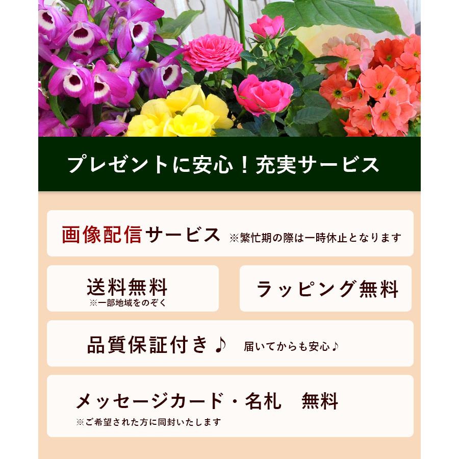 フラワーマーケット花由 季節のおまかせ花鉢とグリーンの寄せ入れ LL