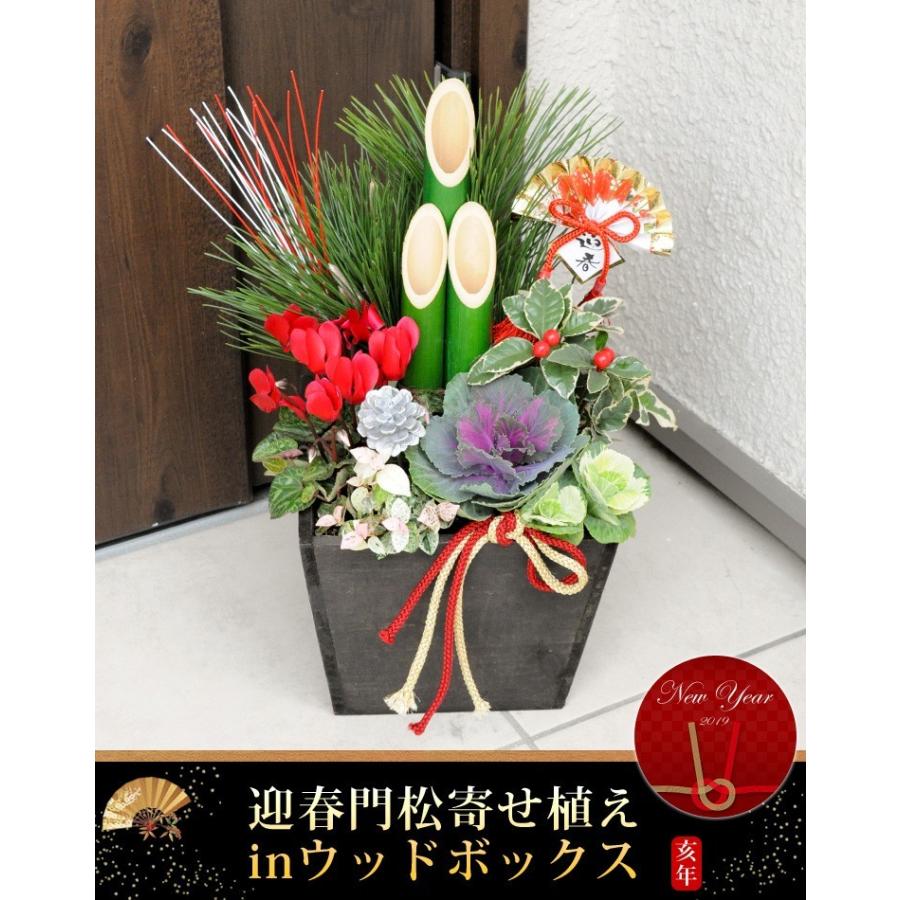 送料無料 我が家にちょうどいい 迎春門松寄せ植えｉｎウッドボックス 寄せ植え仕立て 12 29 12 30の間で指定ｏｋ お歳暮 ギフト 門松 花 正月飾り お年賀 フラワーマーケット花由 通販 Paypayモール
