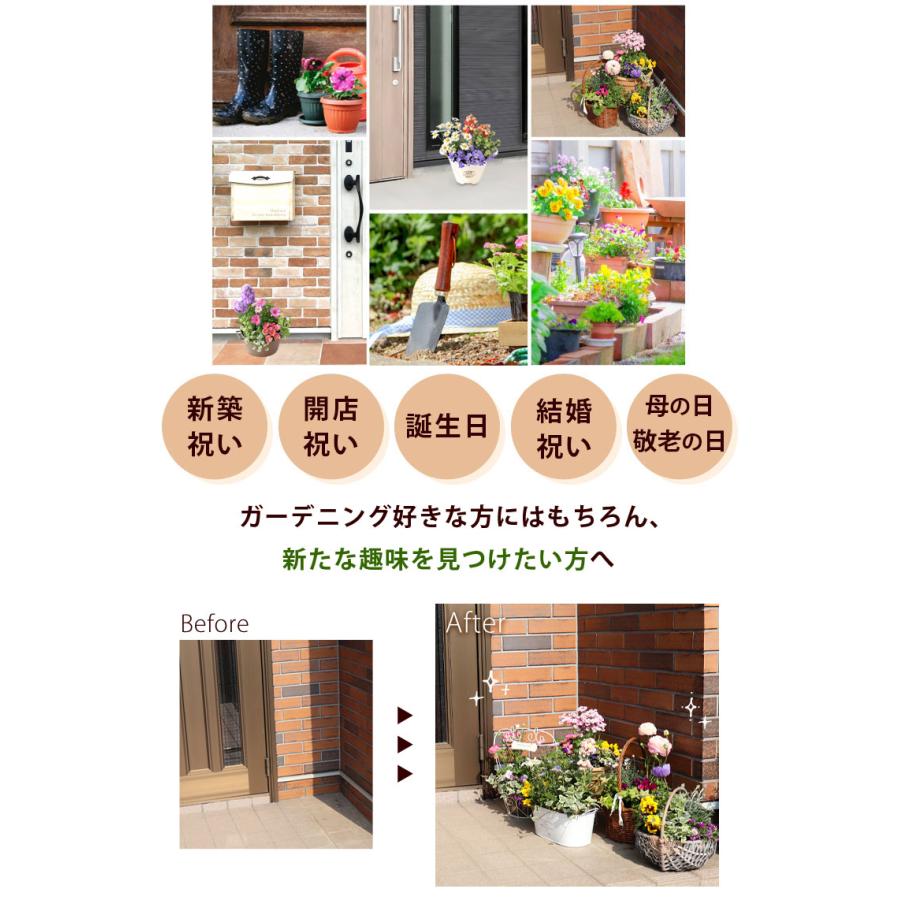 フラワーマーケット花由 プランターが選べる 季節のおまかせ寄せ