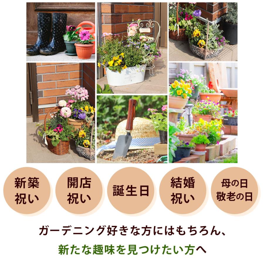 フラワーマーケット花由 プランターが選べる 季節の寄せ植え そのまま