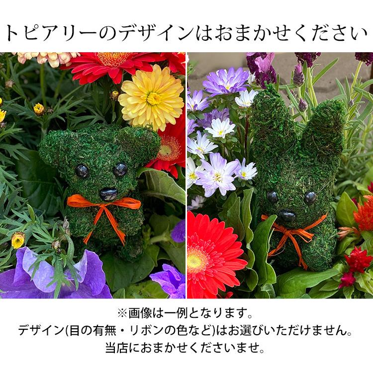フラワーマーケット花由 寄せ植え お花畑みたい トピアリーの寄せ植え