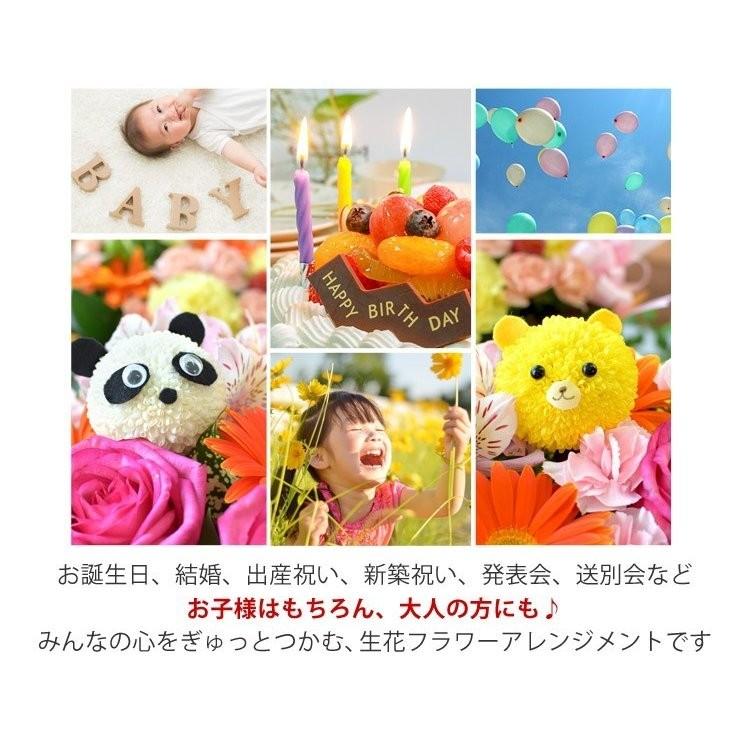 クリスマスツリー特価 冷蔵便 でお届け 生花アレンジ 6種類の動物から選べる お花でできたキュートな動物たち アニマル フラワーアレンジメント Mサイズ 誕生日 プレゼント4 510円 Aynaelda Com