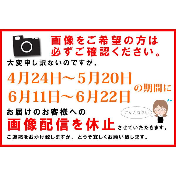 [冷蔵便]でお届け 誕生日 プレゼント 花 季節のおまかせ生花アレンジ Mサイズ 結婚祝い 還暦祝い 退職祝い 女性 開店祝い フラワーアレンジメント｜hanayoshi-y｜22