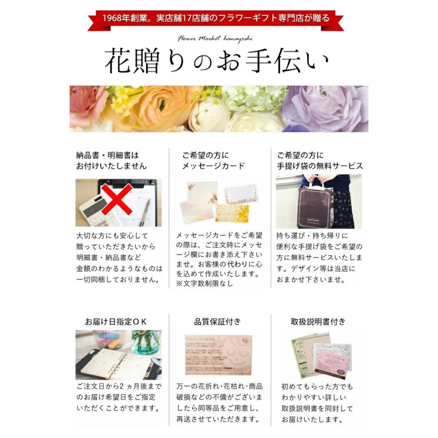Cielさんメッセージカード3000枚①