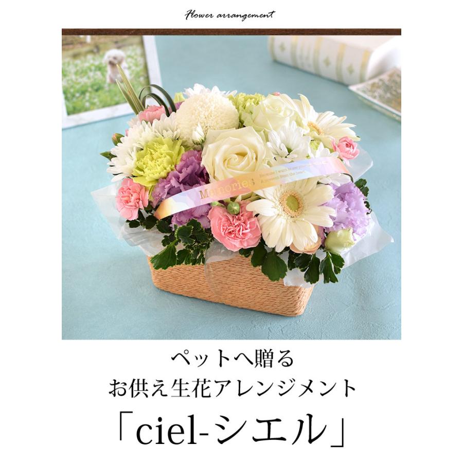 お供え ペットに贈る 仏花 お悔やみ 一周忌 喪中見舞い 贈り物 生花アレンジメント 「ciel-シエル」とレインボーフラワーズのセット｜hanayoshi-y｜03