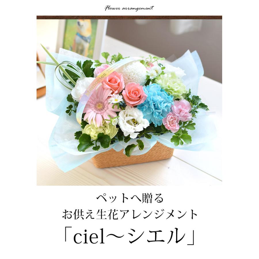 フラワーマーケット花由 お供え ペットに贈る 仏花 お悔やみ