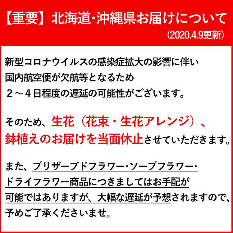 [冷蔵便]でお届け お供え お悔やみ 花 喪中見舞い お供え物 一周忌 三回忌 法事 命日 贈り物 ペット お供え生花アレンジメント〜SSサイズ｜hanayoshi-y｜02