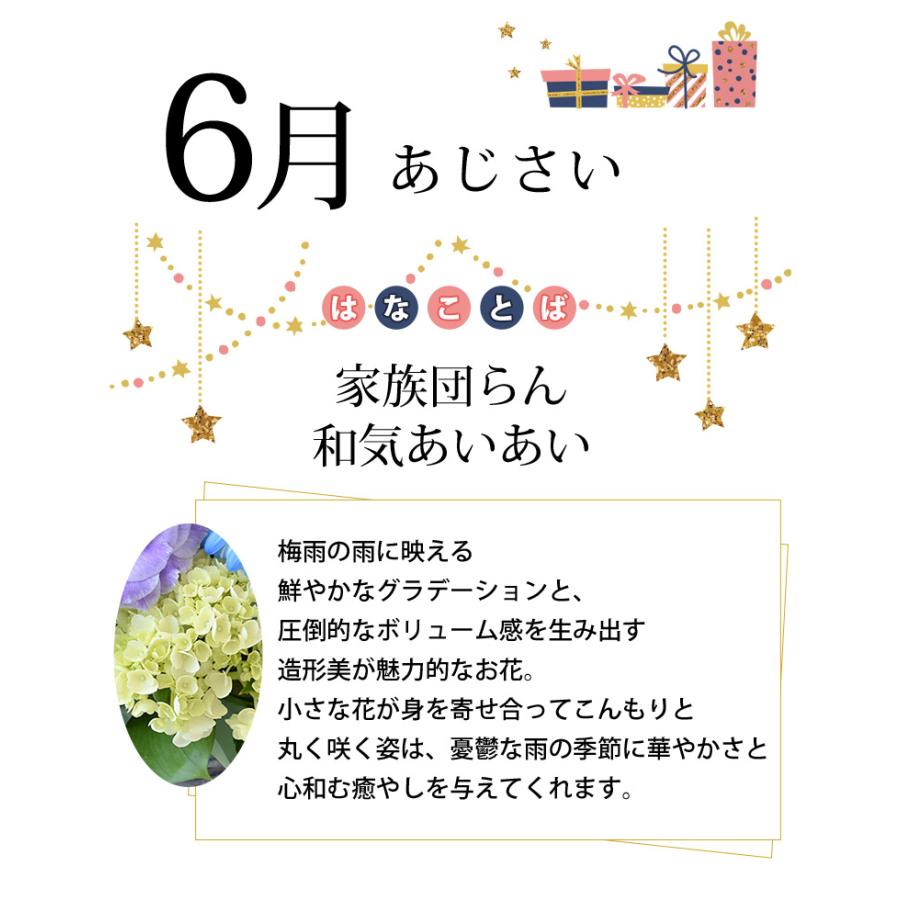 雨雨雨様 リクエスト 2点 まとめ商品 NaN様 リクエスト 2点 まとめ商品