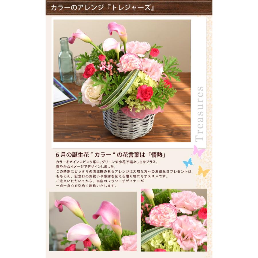 半額品 冷蔵便 でお届け 誕生花を使ったアレンジメント 生花アレンジmサイズ 6月 カラー 7月 ひまわり 花 誕生日 プレゼント お誕生日 お祝い 還暦祝い 米寿 古希 喜寿5 280円 Aynaelda Com
