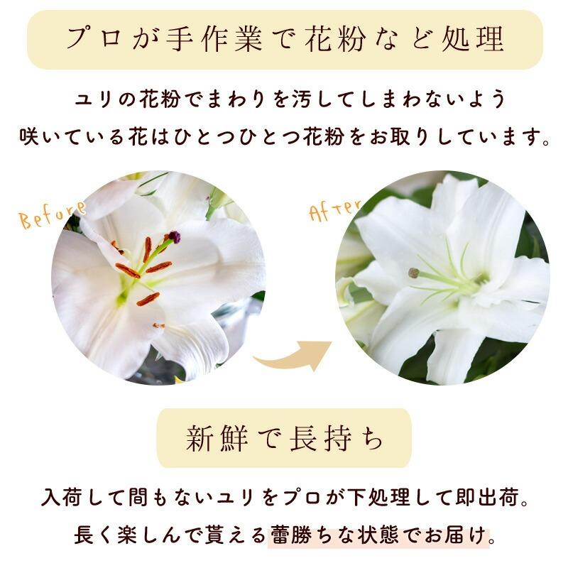フラワーマーケット花由 ユリ 花束 3色から選べる 大輪 オリエンタル