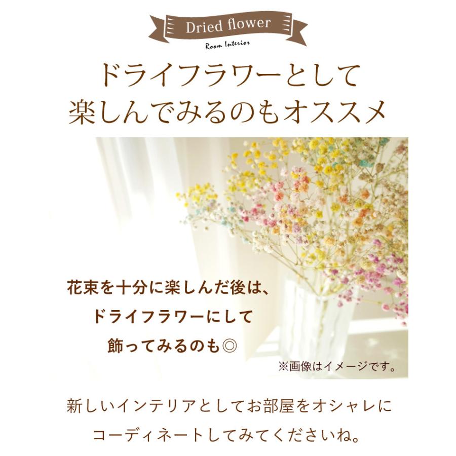 花束 かすみ草のブーケs カスミソウ カラフル 花 誕生日 プレゼント 女性 母 祖母 おしゃれ 結婚祝い 退職祝い フラワーギフト 生花 花 Kib21 フラワーマーケット花由 通販 Yahoo ショッピング