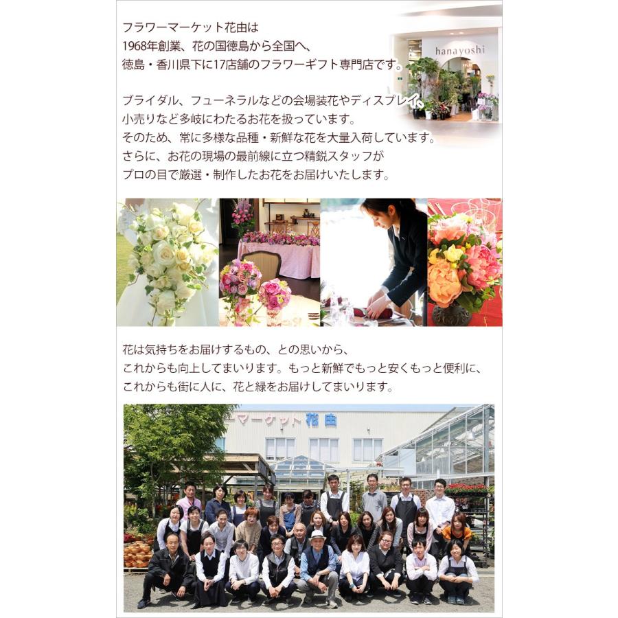 87 Off 冷蔵便 でお届け お供え 花 お悔やみ 生花 アレンジメント ル ブラン 洋風 供花 Mサイズ 法事 お供え花 贈り物 一周忌 四十九日 法要 命日に贈る花5 0円 Aynaelda Com