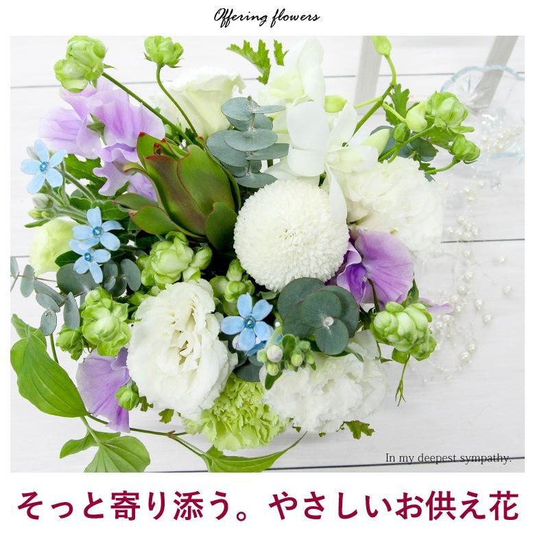 激安直営店 冷蔵便 でお届け お供え 花 お悔やみ 生花 アレンジメント ル ブラン 洋風 供花 Mサイズ 法事 お供え花 贈り物 一周忌 四十九日 法要 命日に贈る花5 0円 Aynaelda Com