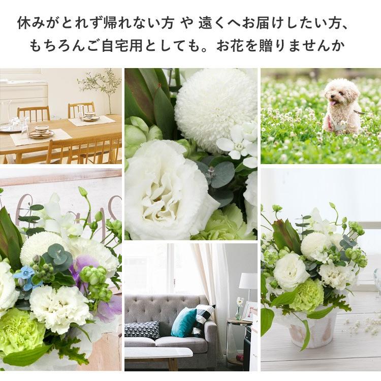 激安直営店 冷蔵便 でお届け お供え 花 お悔やみ 生花 アレンジメント ル ブラン 洋風 供花 Mサイズ 法事 お供え花 贈り物 一周忌 四十九日 法要 命日に贈る花5 0円 Aynaelda Com