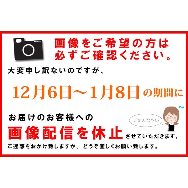 お供え お悔やみ 花 贈り物 法事 仏花 一周忌 供花 四十九日 法要 お花 喪中見舞い お彼岸 お彼岸花 お供え生花アレンジメント Ｍサイズ｜hanayoshi-y｜17