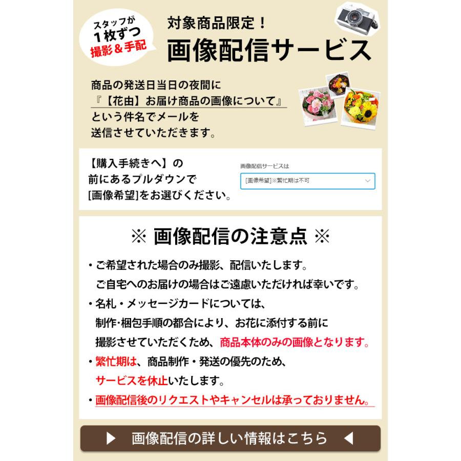 お供え生花 アレンジメントＭサイズ 花 アレンジ お悔やみ フラワーアレンジ 贈り物 法事 供え お供え物 即日発送 供花 弔花 お盆 初盆 新盆｜hanayoshi-y｜17