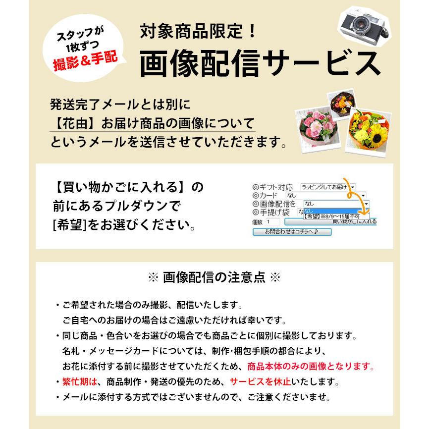 入手困難 お供え お悔やみ 花 贈り物 法事 仏花 供花 四十九日 法要 命日 一周忌 お花 お供え生花アレンジメント ｍサイズ あすつく対応 Riosmauricio Com
