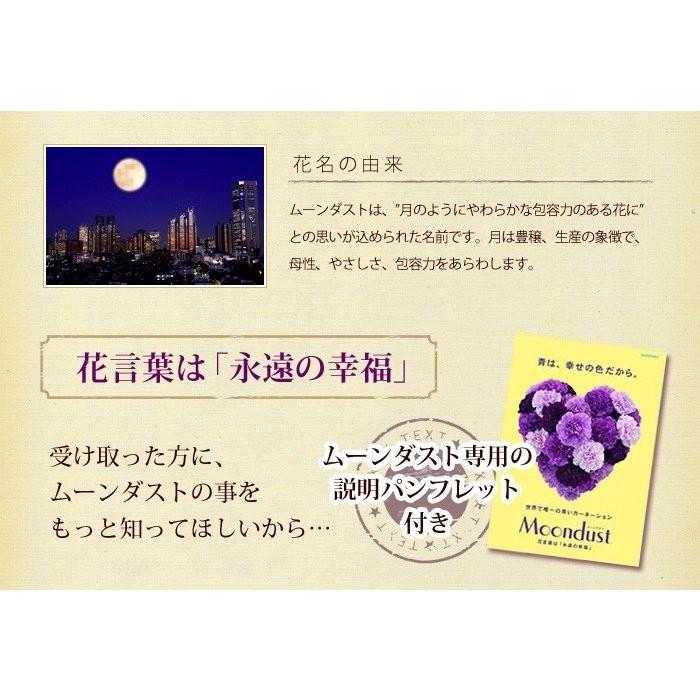 最安値挑戦 冷蔵便 でお届け 花束 ギフト 花瓶いらずの花束 そのままブーケ With Moondust ムーンダスト カーネーション 誕生日 プレゼント 花 退職祝い 結婚祝い 生花 Riosmauricio Com