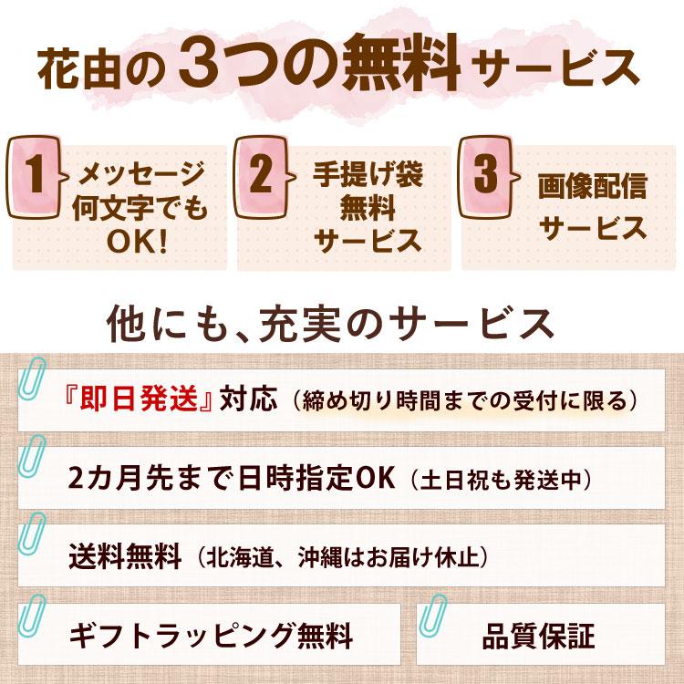 バラ尽くしの そのままブーケ (R) ローザ エイトローズ ピンク 花瓶いらず 感謝の バラの花束 ８本 生花 花束 誕生日 プレゼント 父の日 | フラワーマーケット花由 | 07