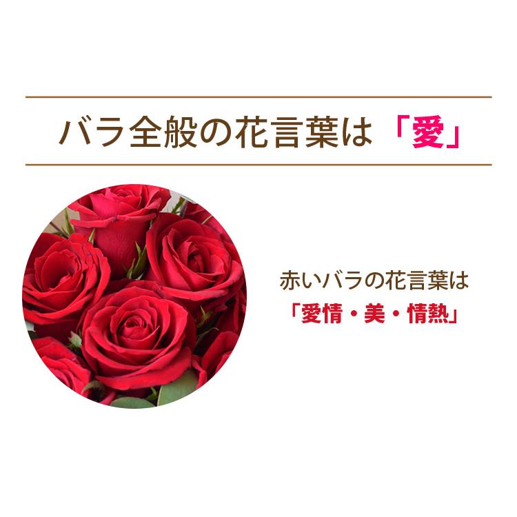 赤バラ 感謝の赤い花 バラの花言葉 本数・色・部位別の意味と選び方・贈り方をご紹介 とっておきのバラ特集 イイハナ
