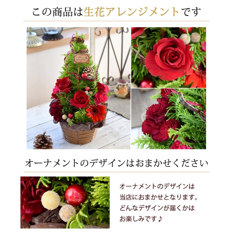 冬限定アレンジ サパン ド ノエル 冬の花贈り クリスマス お祝い 花 誕生日 プレゼント 女性 退職祝い 11月14日 12月25日までお届け Kispa1105 フラワーマーケット花由 通販 Yahoo ショッピング