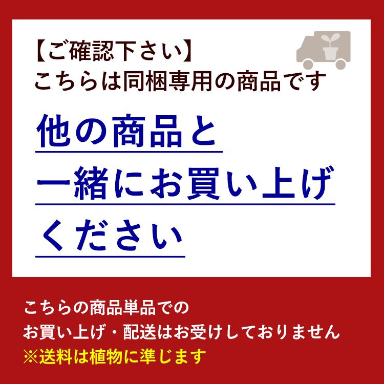 ハンドケアセットのみの購入はできません※【お花にプラスワンギフト