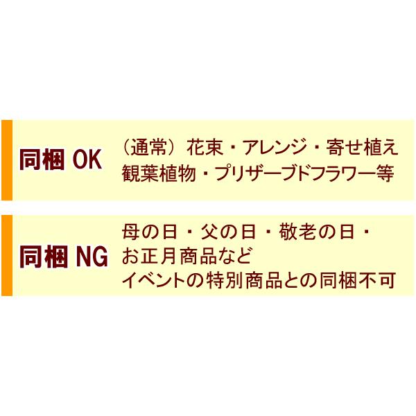 ハンドケアセットのみの購入はできません※【お花にプラスワンギフト