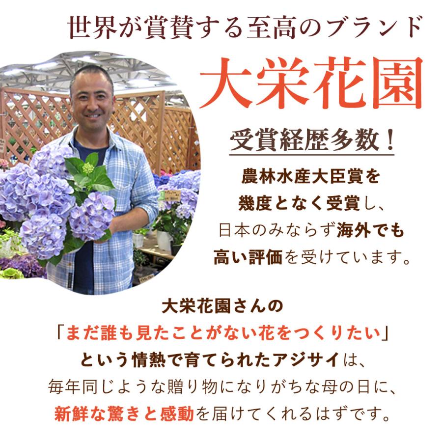 フラワーマーケット花由 まだ間に合う ※一部地域を除く 母の日 2026