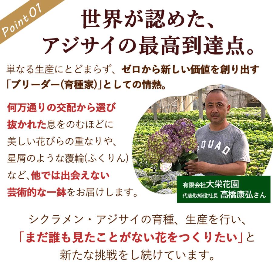 フラワーマーケット花由 まだ間に合う ※一部地域を除く 母の日 2026