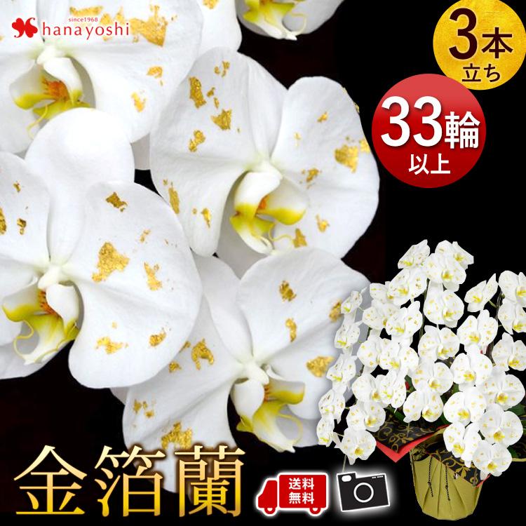 花(3/26～3/29は発送お休み) お祝い花 フラワーギフトZUIKA（瑞花）