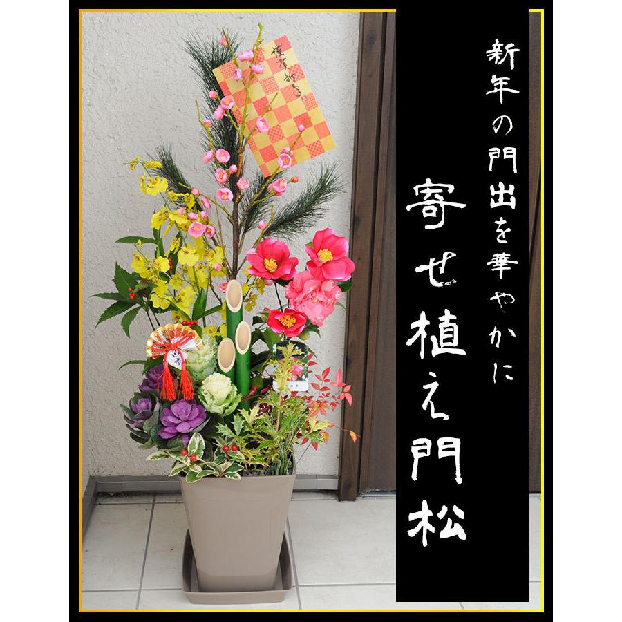 お正月 寄せ植え 門松 8号鉢 12 26 12 30にお届け 正月飾り 玄関 迎春 正月 花 お正月飾り お年賀 お歳暮 ギフト 卯年 迎春花 Rlstsh03 フラワーマーケット花由 通販 Yahoo ショッピング