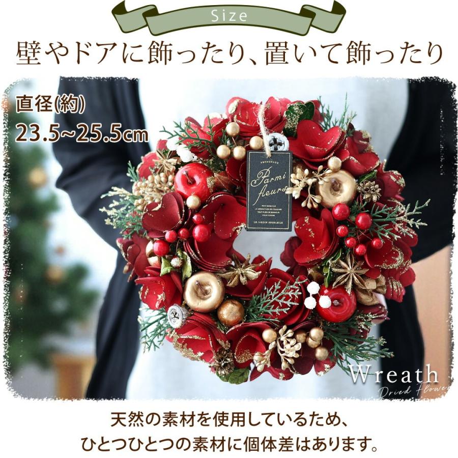 2025 新作 クリスマス リース Mサイズ ドライ ナチュラル 直径約23.5