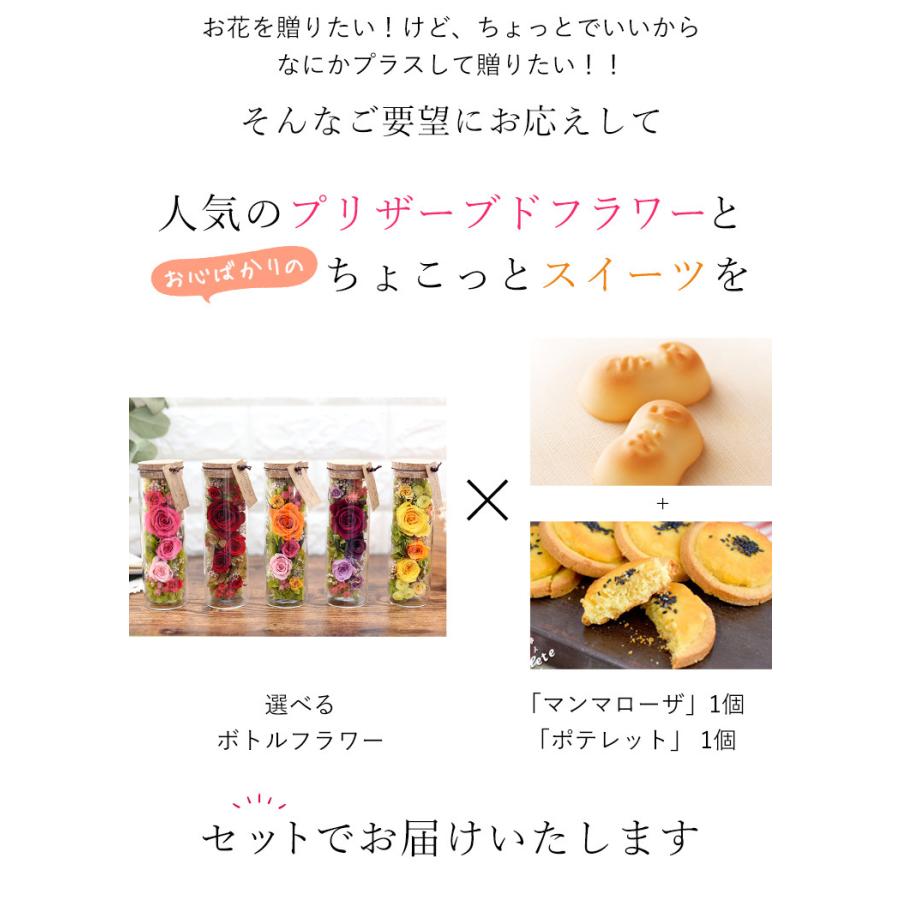 花とスイーツ 送料無料 ボトルフラワー 選べる5色 プリザーブドフラワーとぷちスイーツセット 誕生日 プレゼント 女性 退職祝い 送別 4日後以降 お 届け フラワーマーケット花由 通販 Paypayモール
