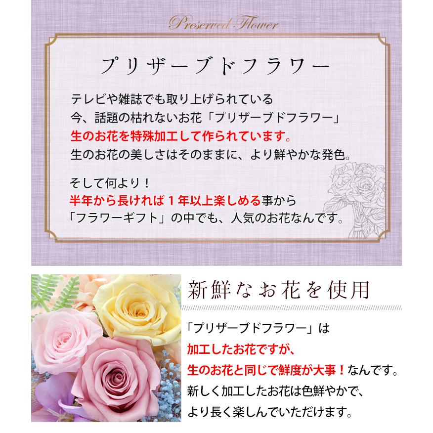 るさなどの お供え お悔やみ 仏花 プリザーブドフラワー アーティフィシャルフラワー 紅莉栖 くりす 憧華 とうか クリアケース入り 命日 一周忌 お供え花 フラワーマーケット花由 通販 Paypayモール しつつあり Shineray Com Br