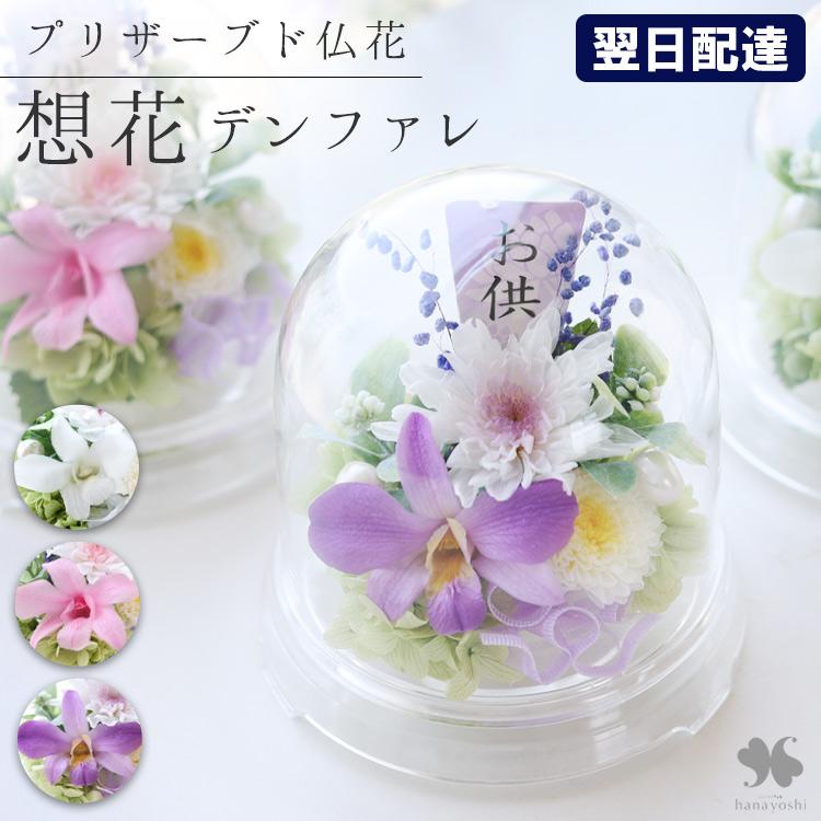 仏花 プリザーブドフラワー お供えドーム 想花 デンファレ クリアドーム 仏壇用 お悔やみ 花 贈り物 法事 49日 一周忌 命日 供花 ブリザードフラワー お彼岸（Yahoo!・フラワーマーケット花由）