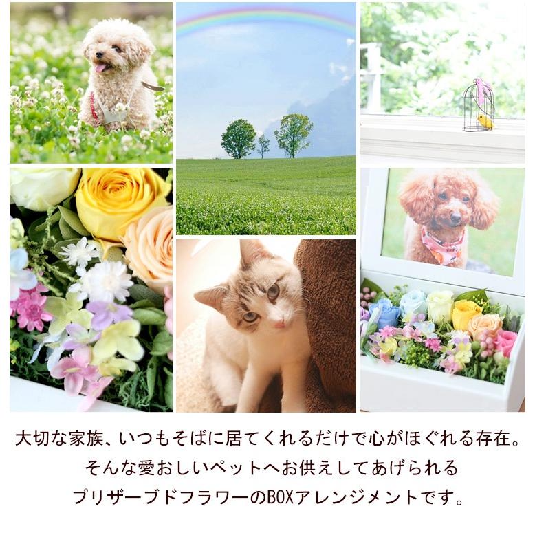 フラワーマーケット花由 ペットのお供え アンシェール お供え