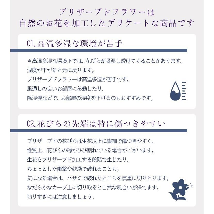 a W新作送料無料 プリザーブドフラワー マリー 枯れないお花 プレゼント 花 誕生日プレゼント 女性 女友達 母 結婚祝い 退職祝い 送別会 お祝い バラ 毎週更新