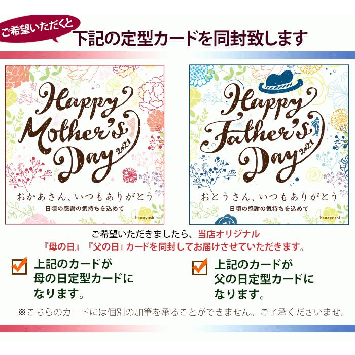 a W新作送料無料 プリザーブドフラワー マリー 枯れないお花 プレゼント 花 誕生日プレゼント 女性 女友達 母 結婚祝い 退職祝い 送別会 お祝い バラ 毎週更新