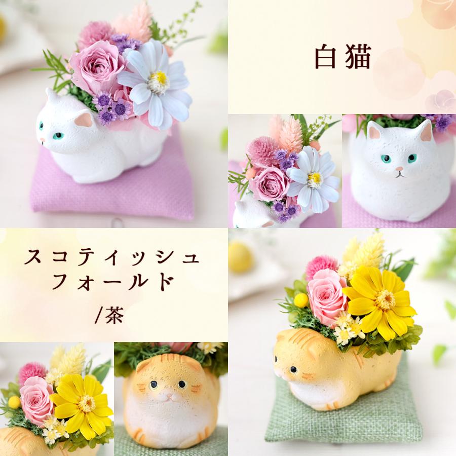 フラワーマーケット花由 プリザーブドフラワー 和風 くつろぎねこ 7