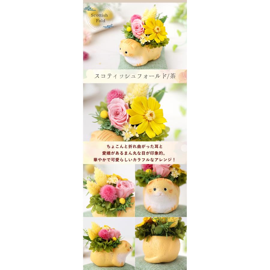 フラワーマーケット花由 プリザーブドフラワー 和風 くつろぎ フラワーマーケット花由 プリザーブドフラワー 和風 くつろぎ