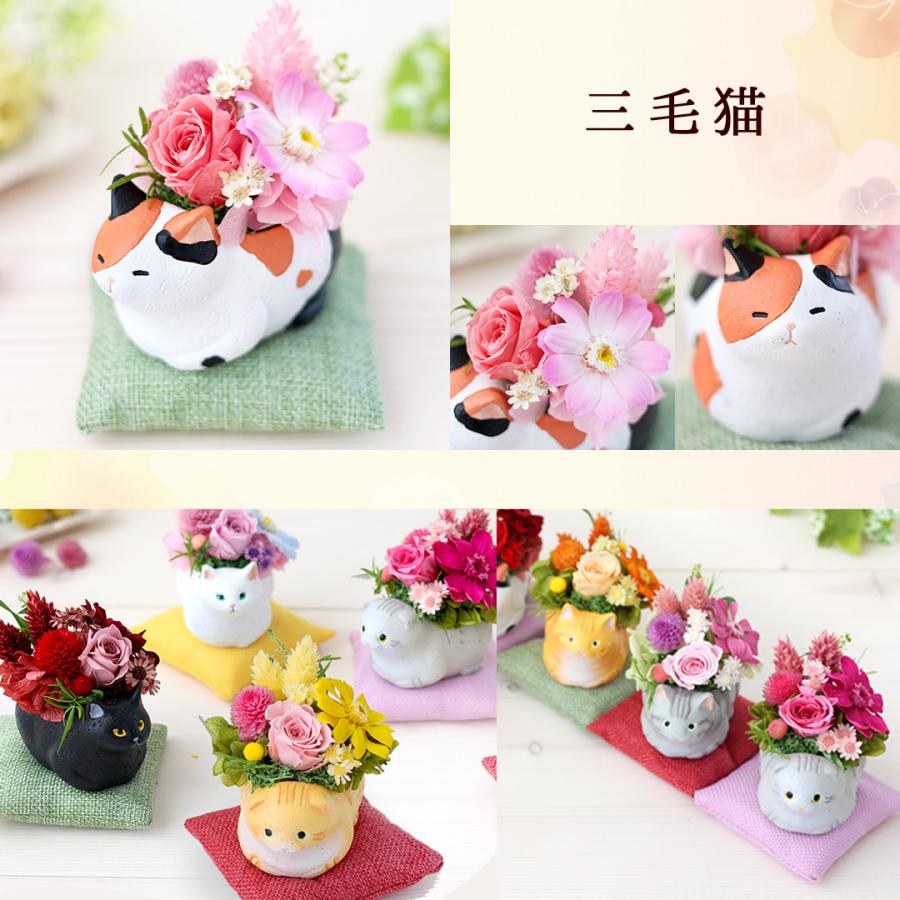 フラワーマーケット花由 プリザーブドフラワー 和風 くつろぎねこ 7